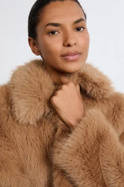 Manteau court